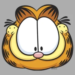 Boy's Garfield Character Big Face T-Shirt