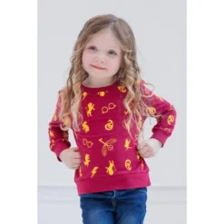 Harry Potter Gryffindor Hufflepuff Slytherin Girls French Terry Pullover Sweatshirt Little Kid To Big Kid