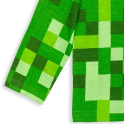 Minecraft Mobs Creeper 2 Pack Graphic T-Shirts Little Kid To Big Kid -Kids Clothing Store GUEST a41612df 55fd 459e a7d1 06ad7a8891d2