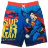 DC Comics Justice League Batman Superman The Flash 3 Pack Swim Trunks Little Kid To Big Kid -Kids Clothing Store GUEST a98fbf20 a5e9 43a4 b091 524581e15fd0