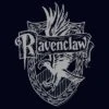 Girl's Harry Potter Ravenclaw Line Art Crest T-Shirt -Kids Clothing Store GUEST e376d5de d452 4ce8 a79c d18905dc4bba